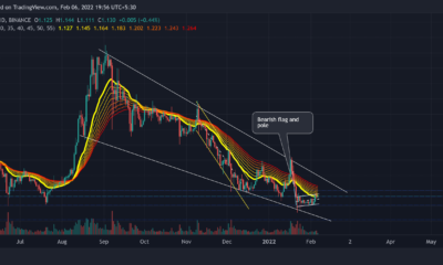 Cardano: 앞으로의 반전 가능성 평가