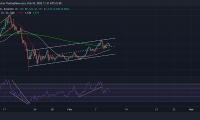 Cardano, Elrond, Neo 가격 분석: 2월 10일