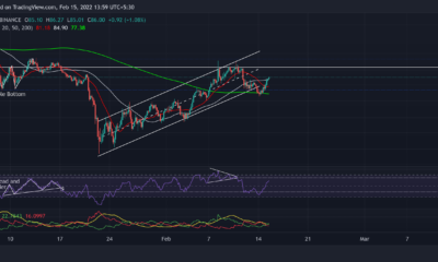 Avalanche, Dogecoin, Litecoin 가격 분석: 2월 15일