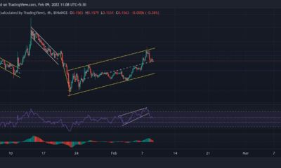 Dogecoin, Tezos, EOS 가격 분석: 2월 9일