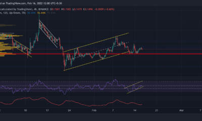 Dogecoin, Tezos, EOS 가격 분석: 2월 16일
