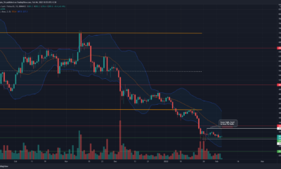 Bitcoin Cash는 다음 구간이 하락하기 전에 이 수준으로 올라갈 수 있습니다.