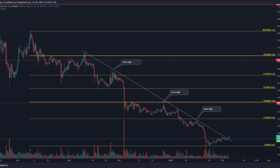 Filecoin은 끊임없는 하락세를 보이고 있습니다. 이 수준을 주시하십시오.