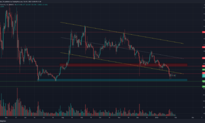 XRP는 단기 반등을 볼 수 있지만 하락세는 계속됩니다