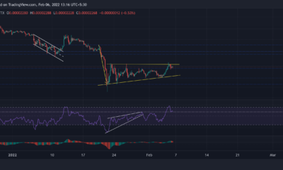 Shiba Inu, Chainlink, EOS 가격 분석: 2월 6일