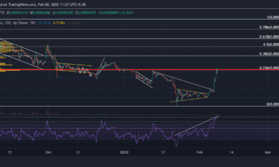 Shiba Inu, Binance Coin, VeChain 가격 분석: 2월 8일