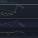Shiba Inu, Binance Coin, Avalanche 가격 분석: 2월 13일