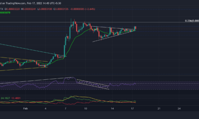 Shiba Inu, Chainlink, MANA 가격 분석: 2월 17일
