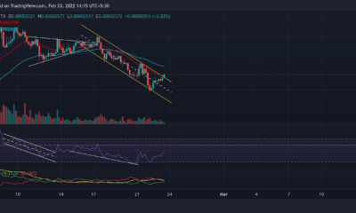 Shiba Inu, Tezos, VeChain 가격 분석: 2월 23일
