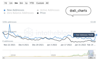 Cardano: 새 주소가 167% 증가했습니다. ADA 보유자에게 낙관적인 나팔처럼 들립니까?