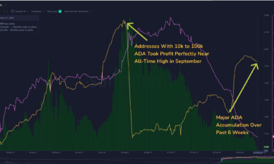 Cardano의 최신 푸시는 ADA가 가격 차트를 올리는 데 도움이 될까요?