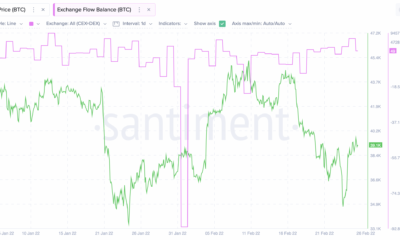 고래는 '대규모 거래'를 하고 있다.  BTC 거래자에게 의미하는 바
