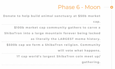 Shiba Tron: 시장에 출시된 최신 강아지를 조심해야 하는 이유