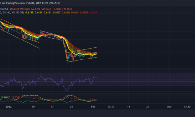 XRP, 바이낸스 코인, 코스모스 가격 분석: 2월 2일