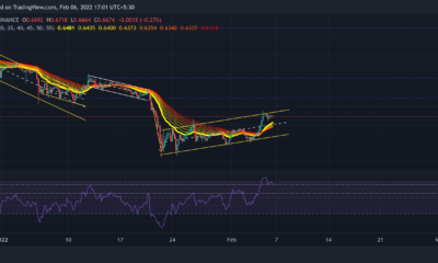 XRP, MATIC, 가까운 가격 분석: 2월 6일