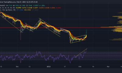 XRP, Chainlink, Enjin 코인 가격 분석: 2월 7일
