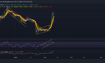 XRP, Tron, Chiliz 가격 분석: 2월 10일