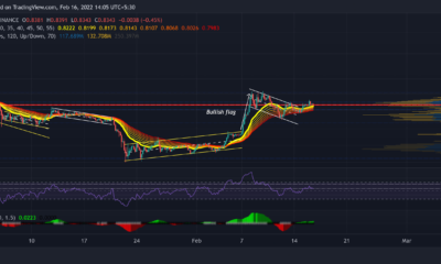 XRP, Avalanche, WAVES 가격 분석: 2월 16일