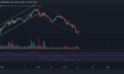 Tezos, Ethereum Classic, EOS 가격 분석: 2월 21일
