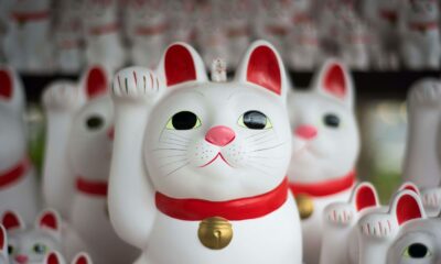7명의 일본 기업가, 새로운 Web3 가속기 출시를 위해 1천만 달러 모금