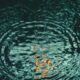 SEC v. Ripple: 법률 사무소의 메모 봉인을 해제하면 누가 혜택을 볼 것인가?