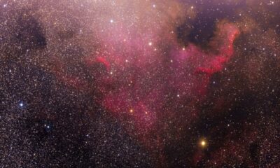 우크라이나, DeFi 및 '규모 타겟팅' Stellar 및 XLM의 다음 단계는 다음과 같습니다.