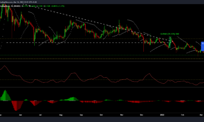 Dogecoin의 호피움 주도 9.5% 랠리 해독 및 투자자에게 미치는 영향