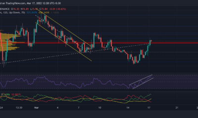 Avalanche, Bitcoin Cash, 흐름 가격 분석: 3월 17일