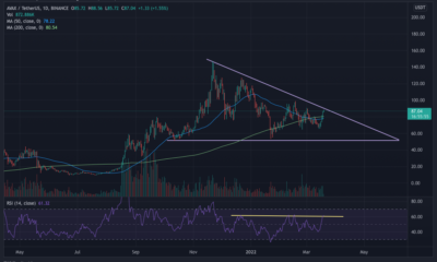 AVAX: Bull Run 또는 또 다른 Bull Trap의 시작