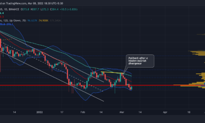 Bitcoin Cash: 투자자의 잠재적 진입점을 식별하는 방법