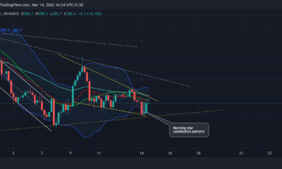 Bitcoin Cash: 이 강세 기회에 대해 알아야 할 모든 것