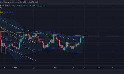 BCH는 강세를 보일 준비가 되었습니까?  BTC와 30일 상관관계 77%…