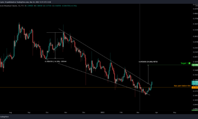 Dogecoin의 30% 펌프가 주요 시장 구조를 상향으로 전환한 방법