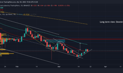 Dogecoin: DOGE 황소에 대한 좋은 진입 방아쇠는 다음에서 찾을 수 있습니다.