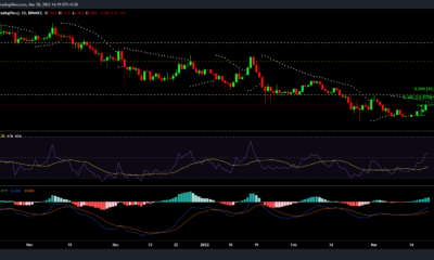 Cardano, 고래, 그리고 이를 1달러로 끌어올리기 위해 할 수 있는 일