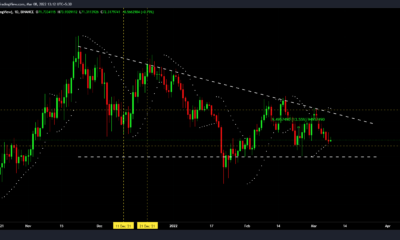 'Bitstamp 효과'가 AVAX의 가격에 대한 속임수인지 확인
