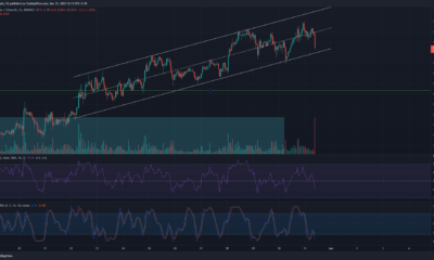 Litecoin, Zilliqa, ApeCoin 가격 분석: 3월 31일