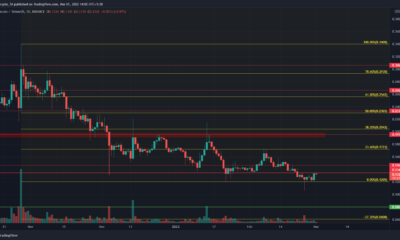 Dogecoin은 장기 전망에 대해 약세를 유지하고 있습니다.