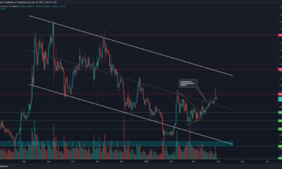 XRP는 상승 추세에 따라 상반되는 징후를 보였습니다.