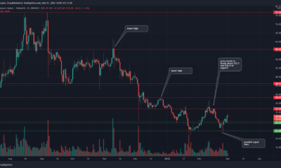 Ethereum Classic: $33.5-$34.6이 중요한 영역인 이유