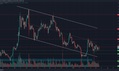 XRP: 1달러는 황소에게 아직 멀었습니다.