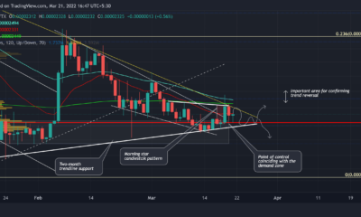 Shiba Inu: 여전히 HODLing SHIB의 진정한 잠재력 측정