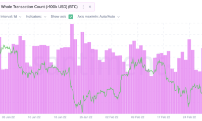 Bitcoin 고래의 이러한 먹이 패턴이 소매 상인을 도울 수 있는 방법