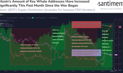 새로운 데이터는 Bitcoin의 새로운 낙관론을 가리키지만 경고가 있습니다.