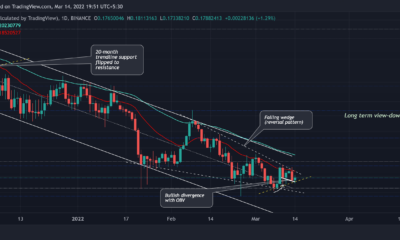 HODL 여부에 관계없이 Stellar의 차트는 실제로 무엇을 말합니까?