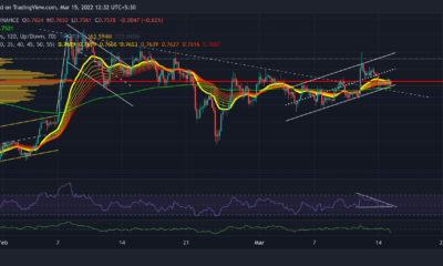 XRP, Polkadot, 가까운 가격 분석: 3월 15일
