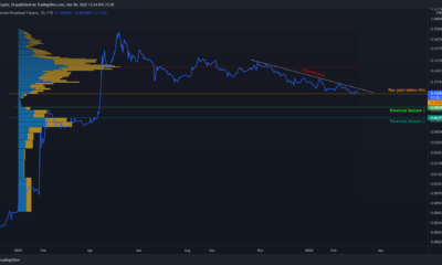 Dogecoin: 이에 비추어 투자자는 위험 회피 모드에 있어야 합니다.
