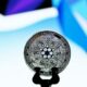 비트코인 맥시멀리스트, 'sh*tcoin' Cardano 폐기 – 커뮤니티 반응은?