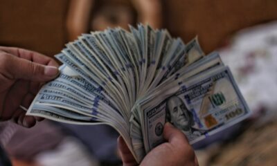 NFT 플랫폼 Rarify, Pantera Capital 등으로부터 1천만 달러 조달