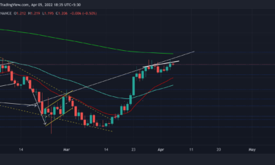 Cardano: 향후 ADA에 대한 추가 상승 가능성 평가